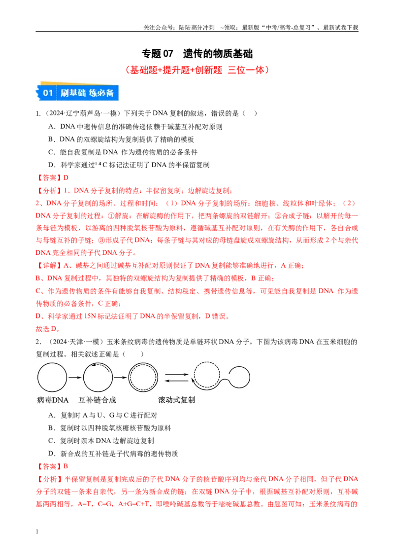 《专题07遗传的物质基础（DNA的结构、复制、转录、翻译）解析版_06-生物-高考总复习_专项复习_2025年_2024年高考一模试题分类汇编生物新高考通用》第1页预览
