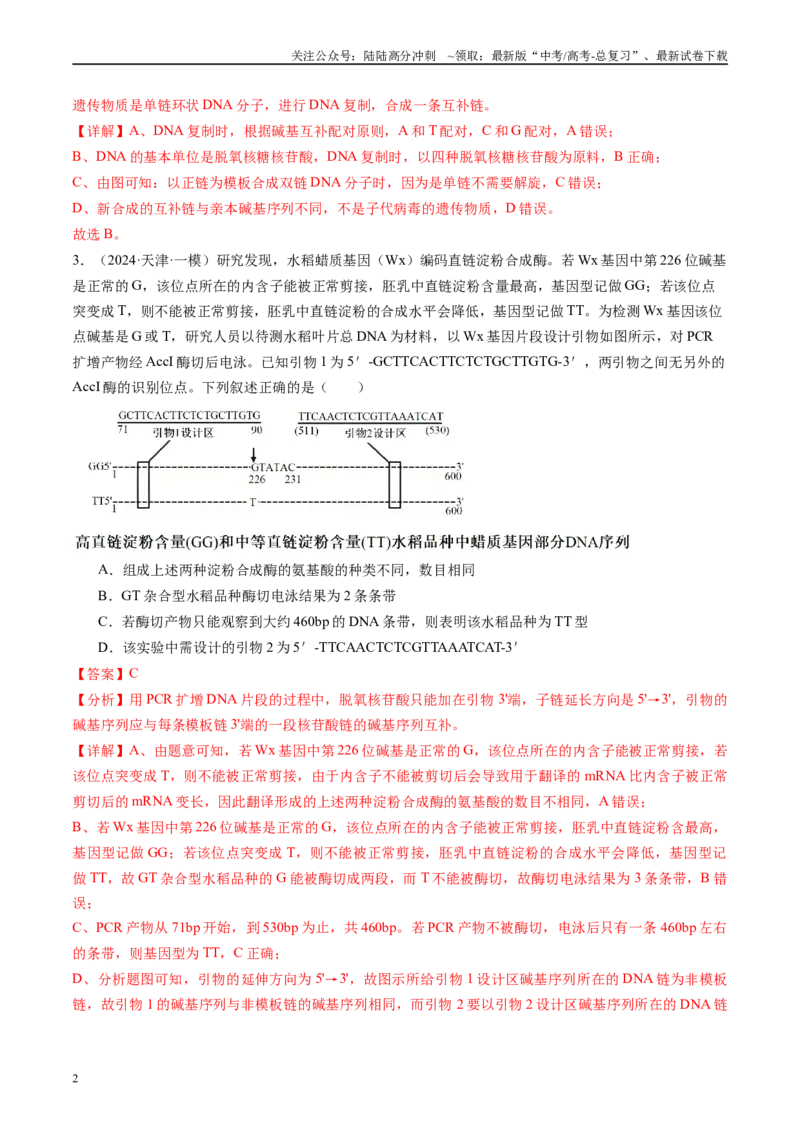 《专题07遗传的物质基础（DNA的结构、复制、转录、翻译）解析版_06-生物-高考总复习_专项复习_2025年_2024年高考一模试题分类汇编生物新高考通用》第2页预览