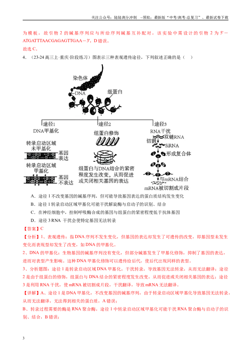 《专题07遗传的物质基础（DNA的结构、复制、转录、翻译）解析版_06-生物-高考总复习_专项复习_2025年_2024年高考一模试题分类汇编生物新高考通用》第3页预览