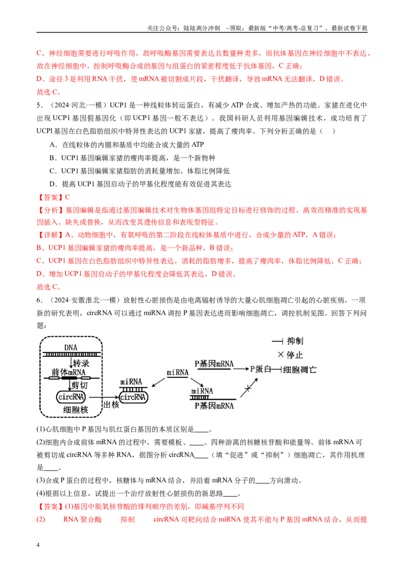 《专题07遗传的物质基础（DNA的结构、复制、转录、翻译）解析版_06-生物-高考总复习_专项复习_2025年_2024年高考一模试题分类汇编生物新高考通用》第4页预览