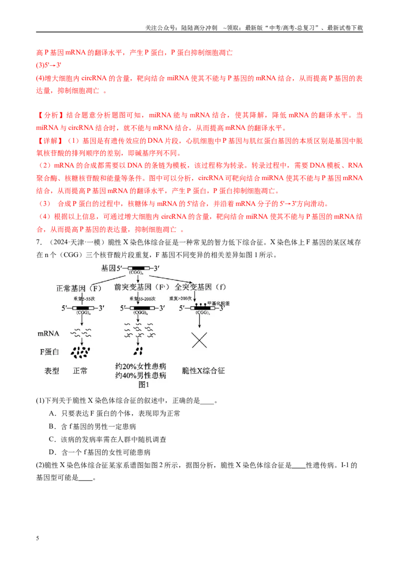 《专题07遗传的物质基础（DNA的结构、复制、转录、翻译）解析版_06-生物-高考总复习_专项复习_2025年_2024年高考一模试题分类汇编生物新高考通用》第5页预览