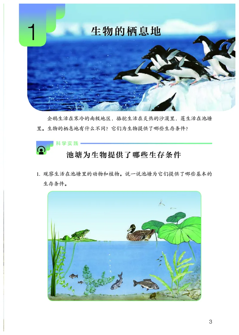 《义务教育教科书科学六年级下册_小学1-6年级全科全套_2025更新专题（含教材）_寒假预复习必备资料2024新版小学教材电子版_小学科学_人教版（无水印）》第6页预览