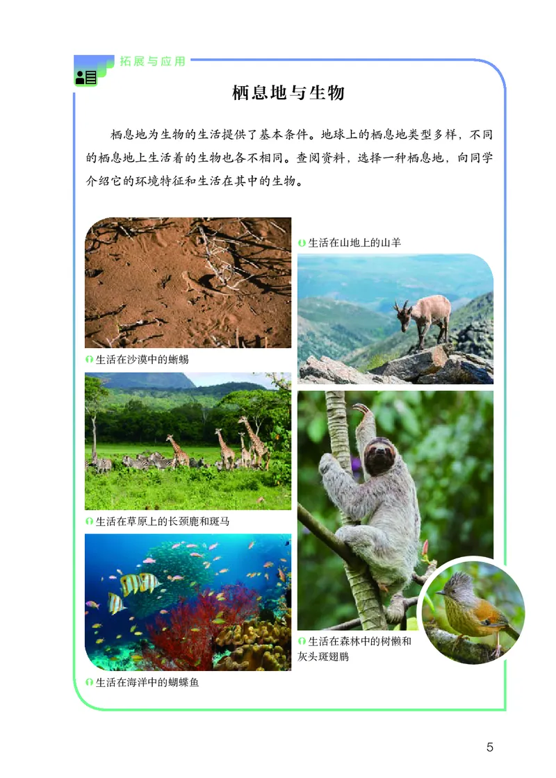 《义务教育教科书科学六年级下册_小学1-6年级全科全套_2025更新专题（含教材）_寒假预复习必备资料2024新版小学教材电子版_小学科学_人教版（无水印）》第8页预览