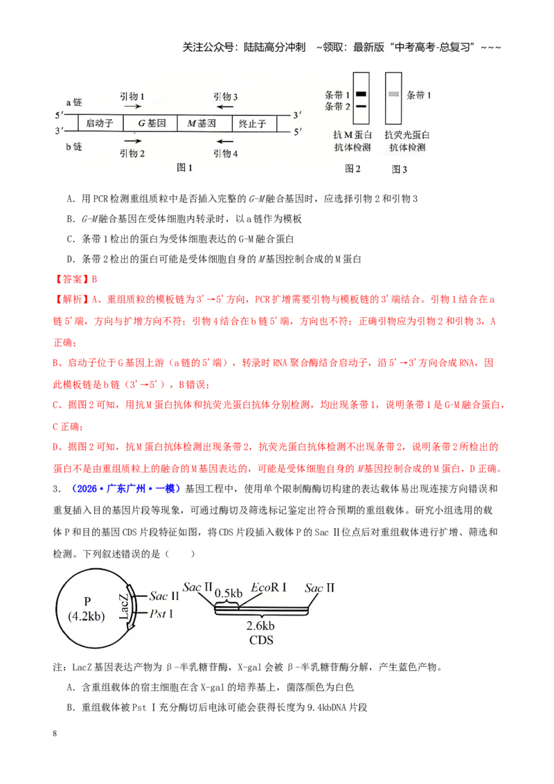 《专题13基因工程（教师版）_06-生物-高考总复习_专项复习_2026年-生物高考专项复习_2026年高考生物一模试题分类汇编（新高考通用）-G178_2026版》第8页预览