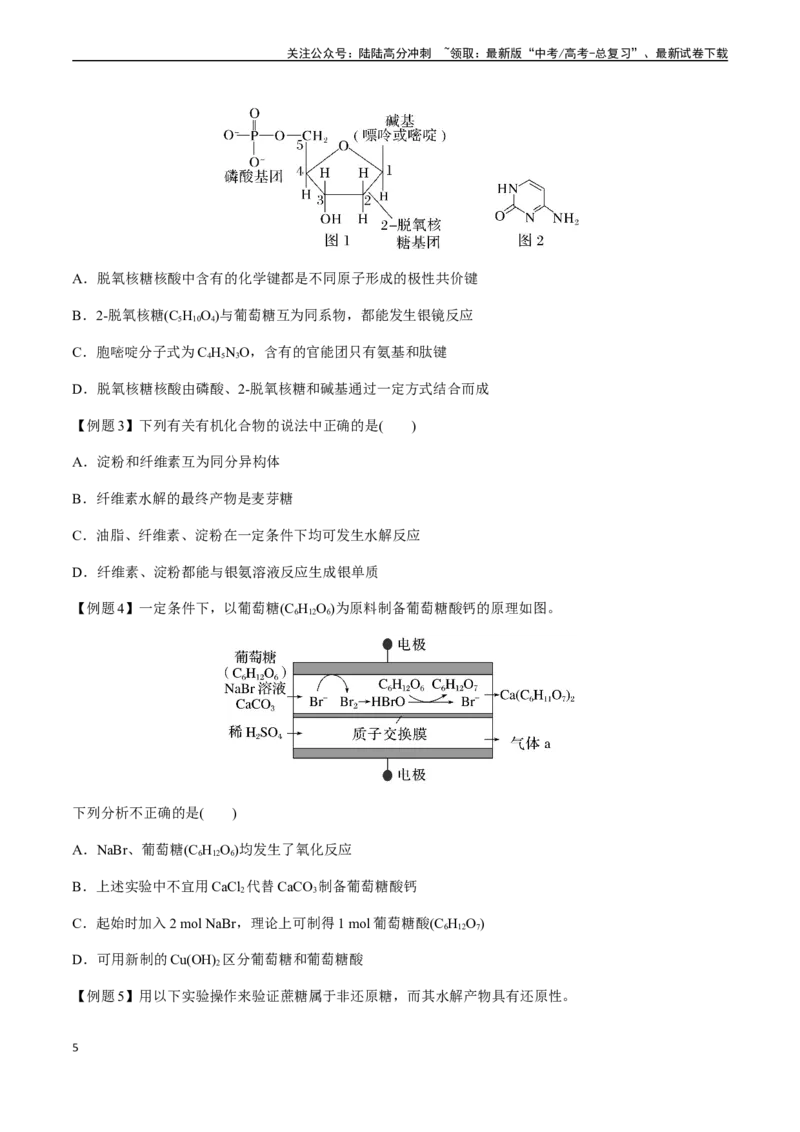 《第60讲糖类、氨基酸和蛋白质、核酸、高分子（原卷版）_05-化学-高考总复习_一轮复习_2024年_2024年高考化学一轮·夯基提能复习精讲精练_资料》第5页预览