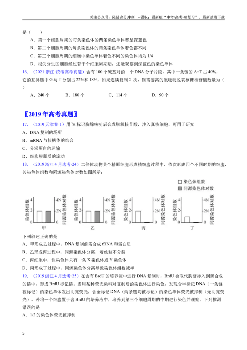 《专题08遗传的分子基础-五年（2019-2023）高考生物真题分项汇编（全国通用）（学生版）_06-生物-高考总复习_专项复习_2024年_2024年高考生物五年真题分项汇编（全国通用）》第5页预览