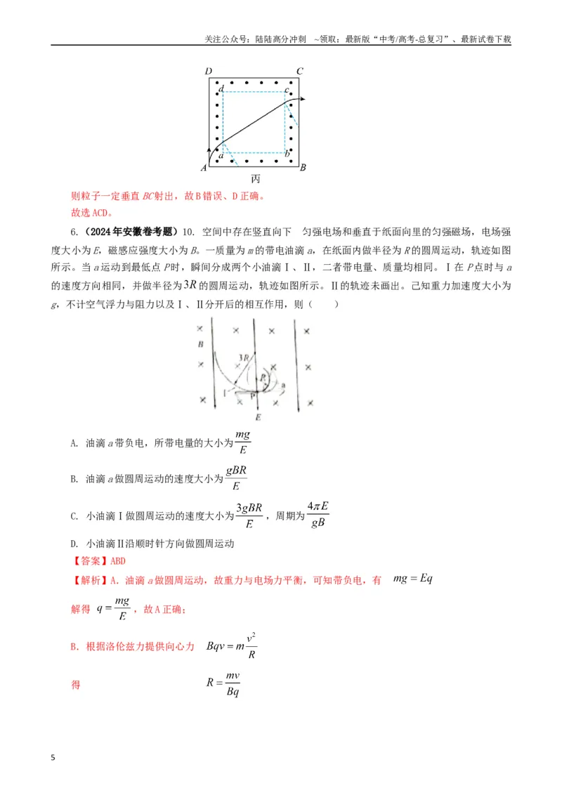 《专题10磁场（解析版）_04-物理-高考总复习_专项复习_2024年_2024年高考真题和模拟题分项汇编物理分类汇编（全国通用）》第5页预览