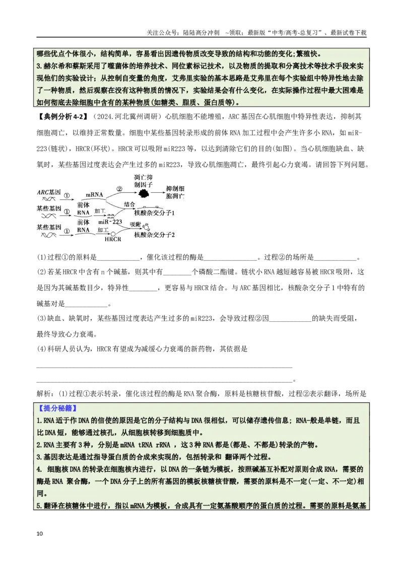 《专题07遗传规律与变异的综合运用（原卷版）_06-生物-高考总复习_二轮复习_2025年_2025年高考生物二轮热点题型归纳与变式演练（新高考通用）》第10页预览