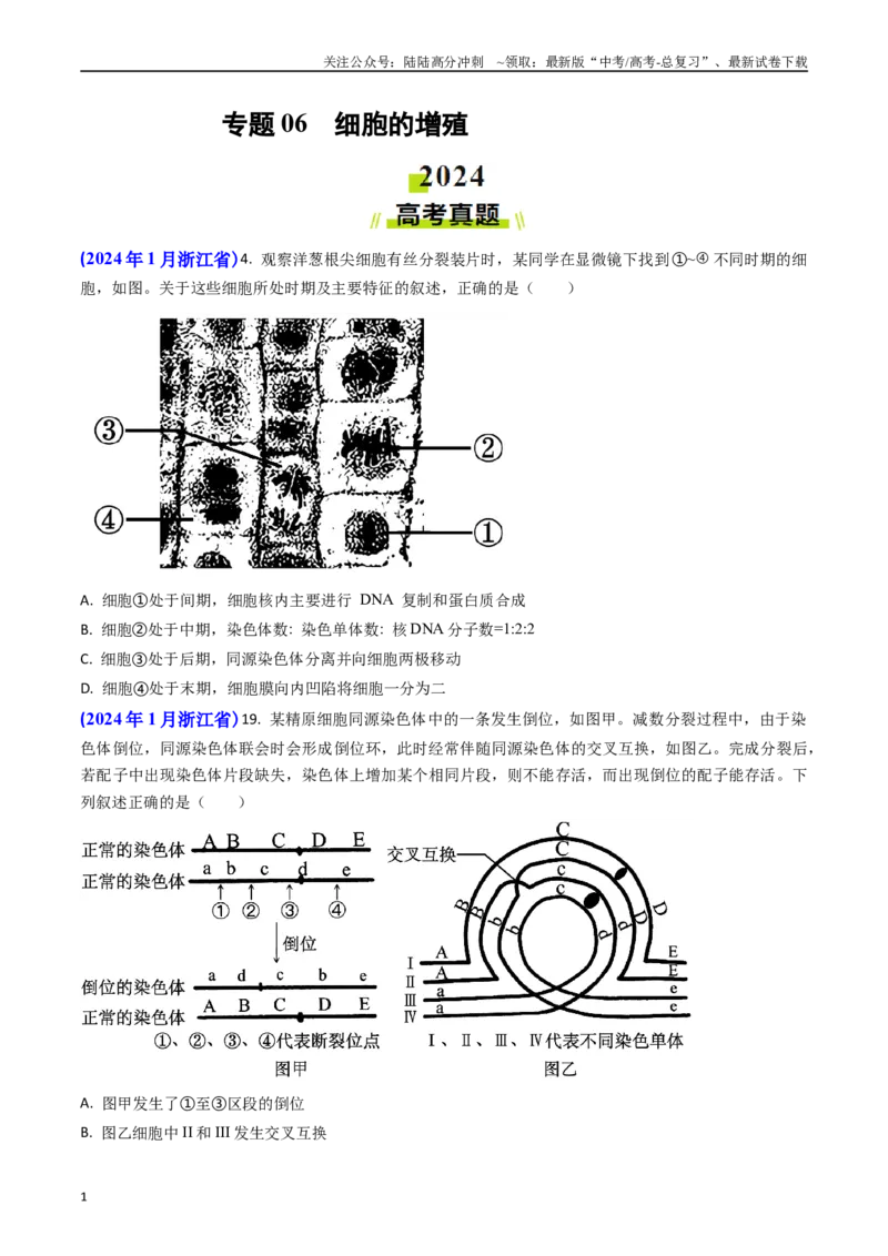《专题06细胞的增殖-(原卷版）_06-生物-高考总复习_专项复习_2024年_2024年高考真题和模拟题分项汇编生物分类汇编（全国通用）》第1页预览
