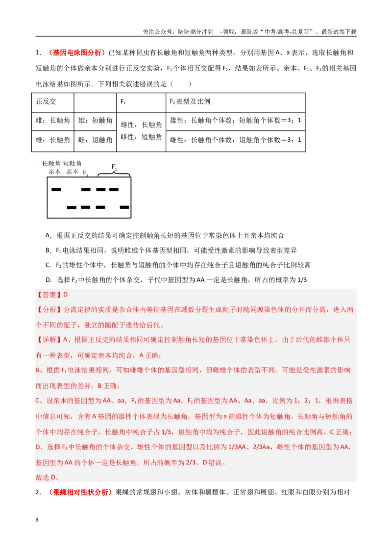 《专题10基因定位类问题分析（解析版）_06-生物-高考总复习_专项复习_2025年_2025年高考生物重难点讲义专练（新高考通用）》第3页预览