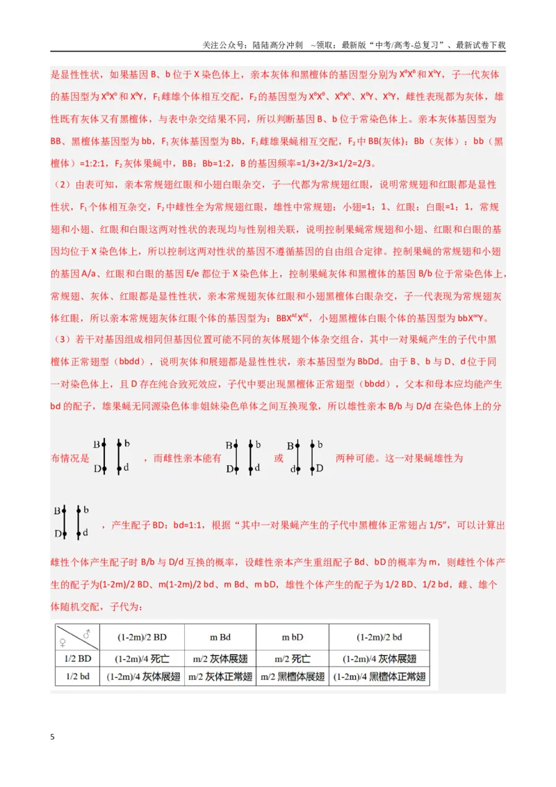 《专题10基因定位类问题分析（解析版）_06-生物-高考总复习_专项复习_2025年_2025年高考生物重难点讲义专练（新高考通用）》第5页预览