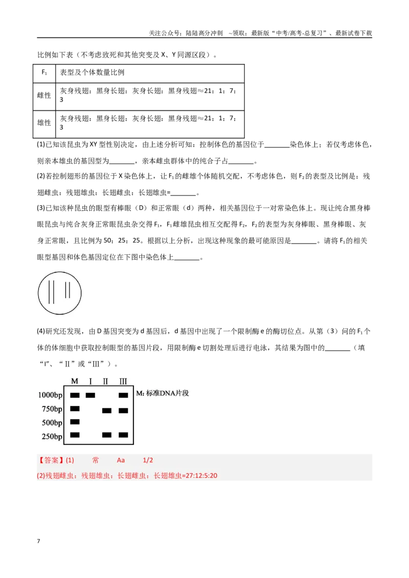 《专题10基因定位类问题分析（解析版）_06-生物-高考总复习_专项复习_2025年_2025年高考生物重难点讲义专练（新高考通用）》第7页预览