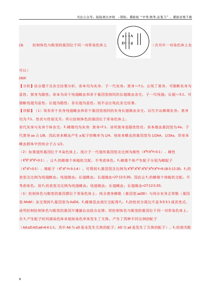 《专题10基因定位类问题分析（解析版）_06-生物-高考总复习_专项复习_2025年_2025年高考生物重难点讲义专练（新高考通用）》第8页预览