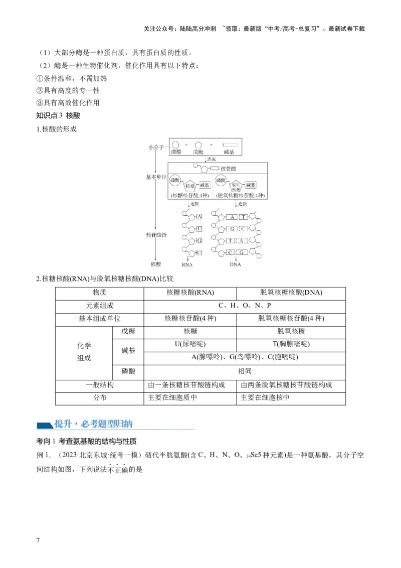 《第40讲生物大分子合成高分子（讲义）（原卷版）_05-化学-高考总复习_一轮复习_2024年_2024年高考化学一轮复习讲练测(课件+讲义+练习)（新高考）_讲义+练习》第7页预览