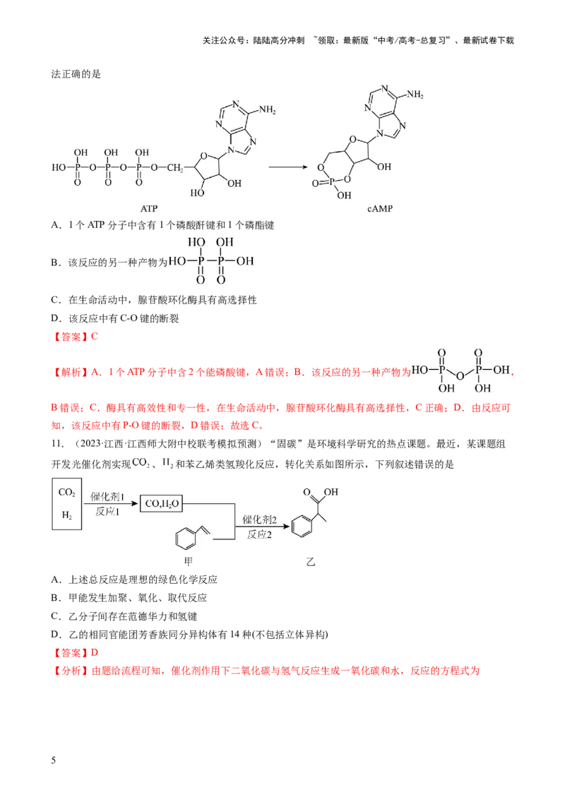 《第十章有机化学基础（测试）（解析版）_05-化学-高考总复习_一轮复习_2024年_2024年高考化学一轮复习讲练测(课件+讲义+练习)（新高考）_章节测试》第5页预览