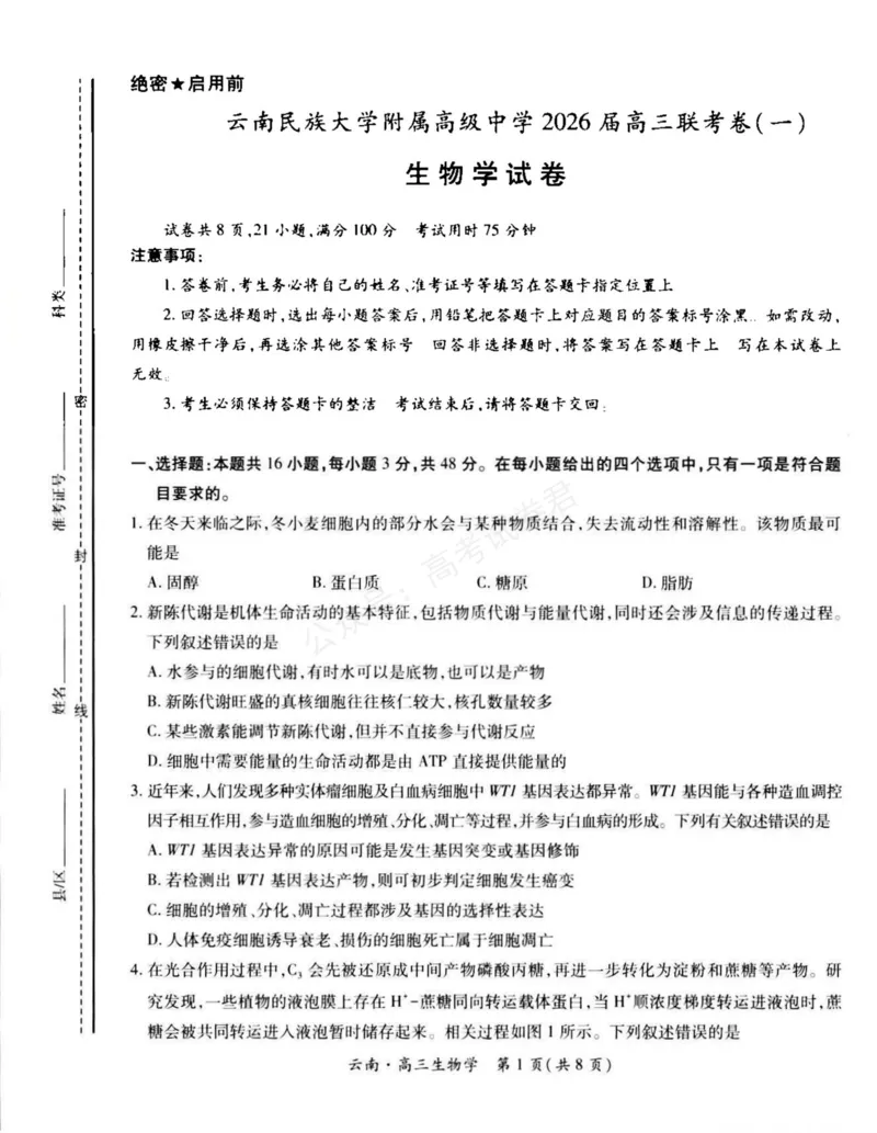 《云南民族大学附属高级中学2026届高三上学期联考（一）生物试卷（含解析）_副本_小初高学习资料合集（每天更新）_06生物_云南省上进联考云南民大附中高三上学期联考（一）》第1页预览