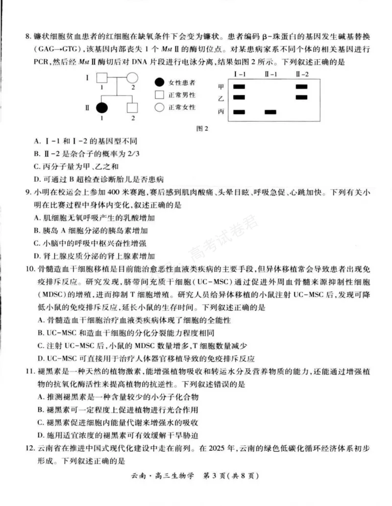 《云南民族大学附属高级中学2026届高三上学期联考（一）生物试卷（含解析）_副本_小初高学习资料合集（每天更新）_06生物_云南省上进联考云南民大附中高三上学期联考（一）》第3页预览