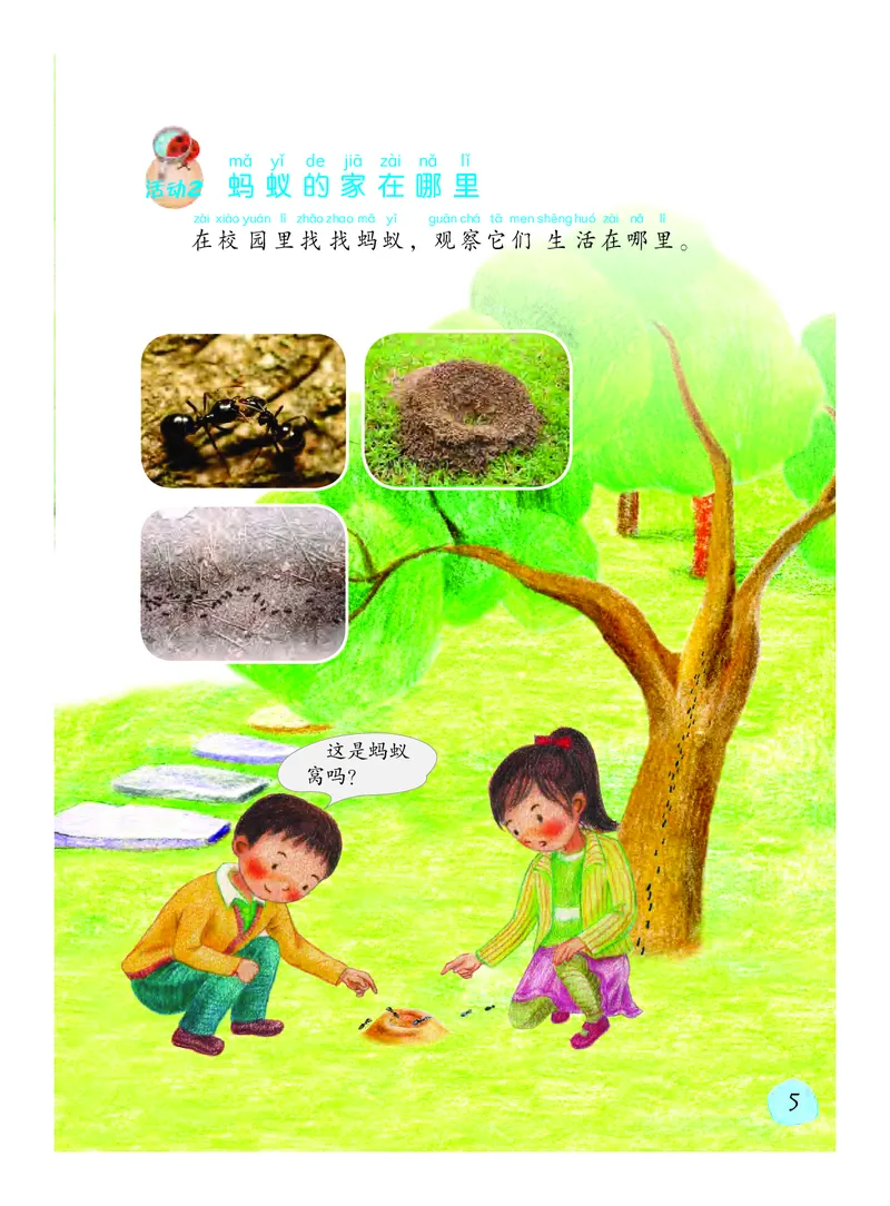 《义务教育教科书科学二年级下册_小学1-6年级全科全套_2025更新专题（含教材）_寒假预复习必备资料2024新版小学教材电子版_小学科学_粤教版（无水印）》第10页预览