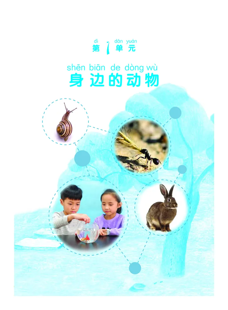 《义务教育教科书科学二年级下册_小学1-6年级全科全套_2025更新专题（含教材）_寒假预复习必备资料2024新版小学教材电子版_小学科学_粤教版（无水印）》第6页预览