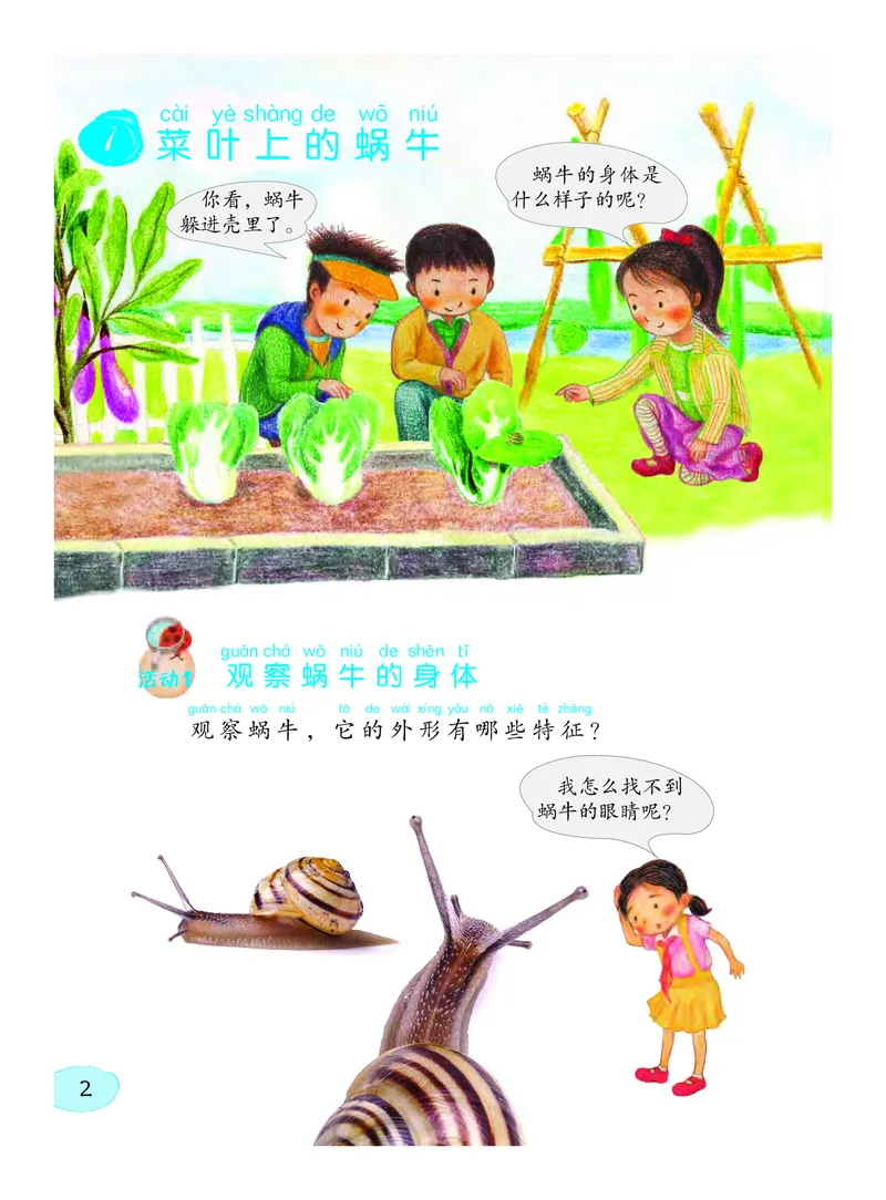 《义务教育教科书科学二年级下册_小学1-6年级全科全套_2025更新专题（含教材）_寒假预复习必备资料2024新版小学教材电子版_小学科学_粤教版（无水印）》第7页预览