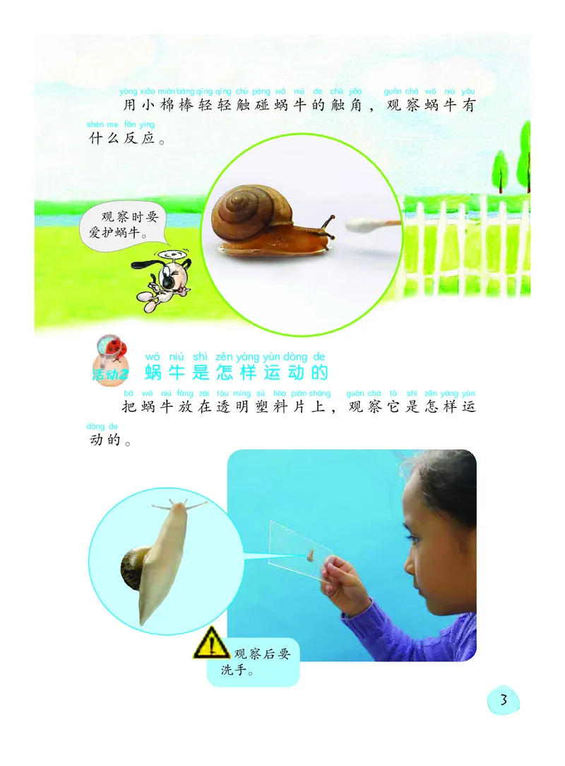 《义务教育教科书科学二年级下册_小学1-6年级全科全套_2025更新专题（含教材）_寒假预复习必备资料2024新版小学教材电子版_小学科学_粤教版（无水印）》第8页预览