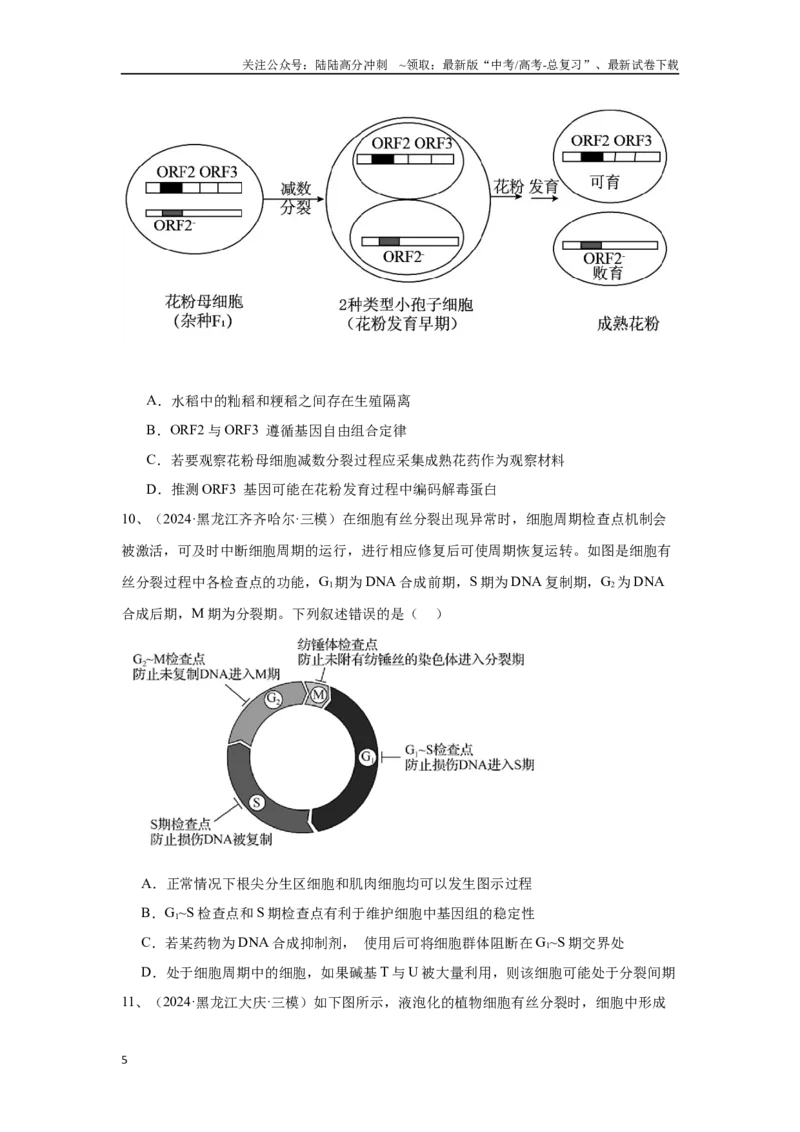 《专题06细胞增殖（原卷版）_06-生物-高考总复习_专项复习_2025年_2024年高考三模试题分类汇编生物2新高考通用》第5页预览