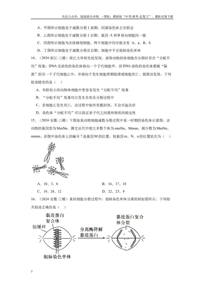 《专题06细胞增殖（原卷版）_06-生物-高考总复习_专项复习_2025年_2024年高考三模试题分类汇编生物2新高考通用》第7页预览