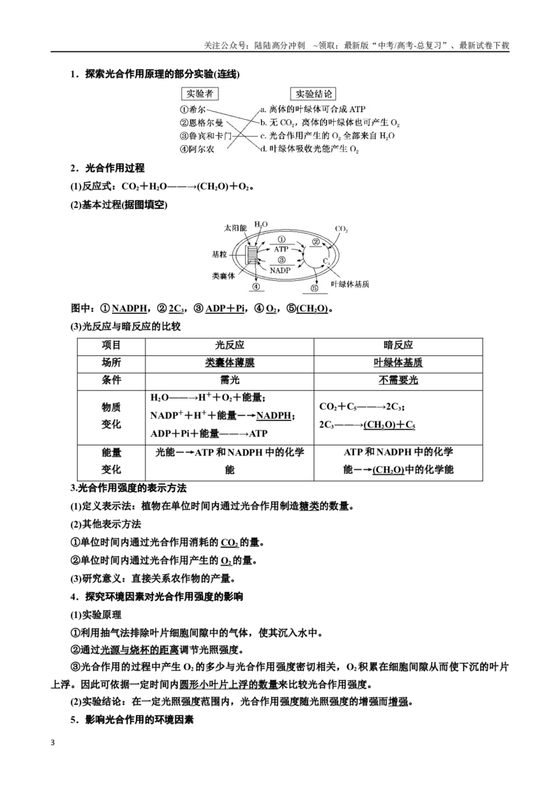 《专题10光合作用（原卷版)_06-生物-高考总复习_一轮复习_2024年_2024年高考生物一轮复习重难点专项突破_资料》第3页预览