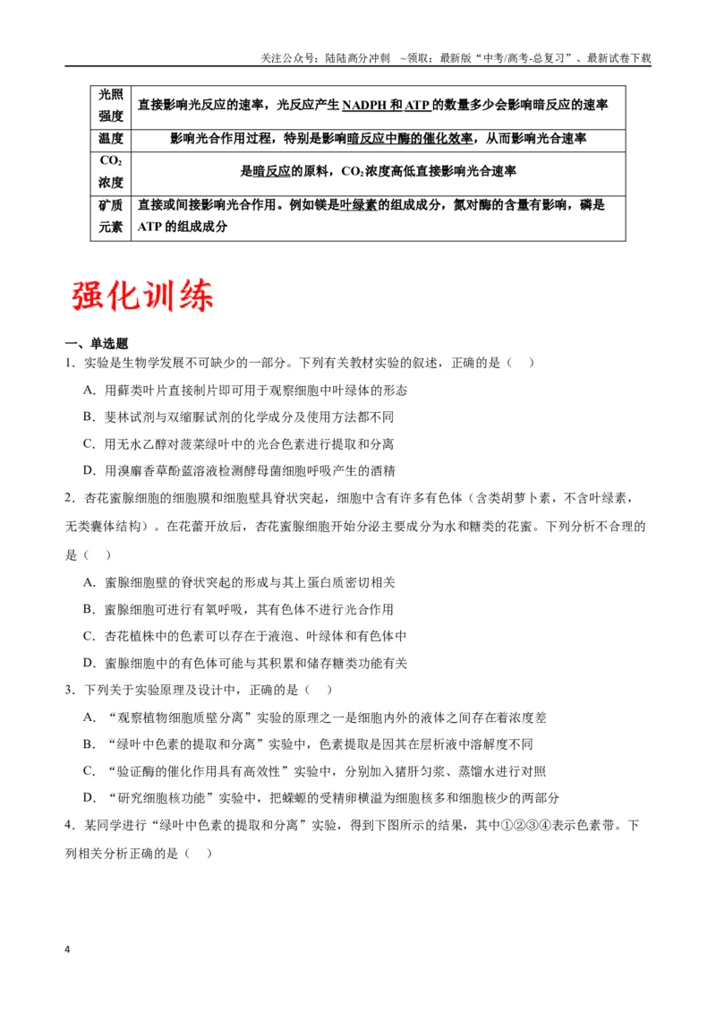 《专题10光合作用（原卷版)_06-生物-高考总复习_一轮复习_2024年_2024年高考生物一轮复习重难点专项突破_资料》第4页预览