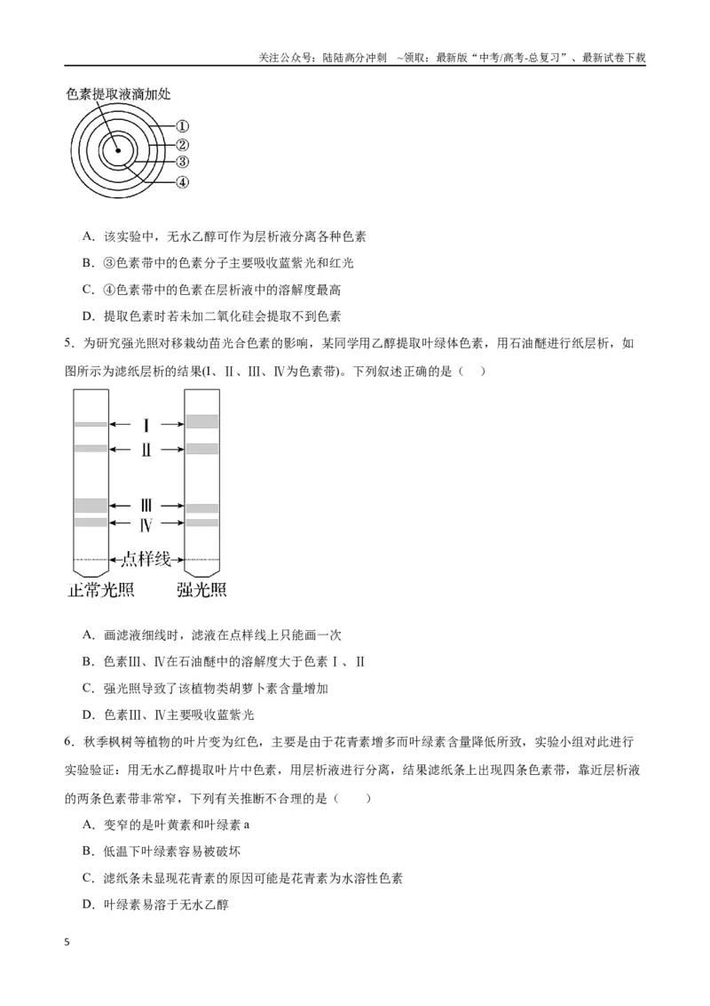 《专题10光合作用（原卷版)_06-生物-高考总复习_一轮复习_2024年_2024年高考生物一轮复习重难点专项突破_资料》第5页预览