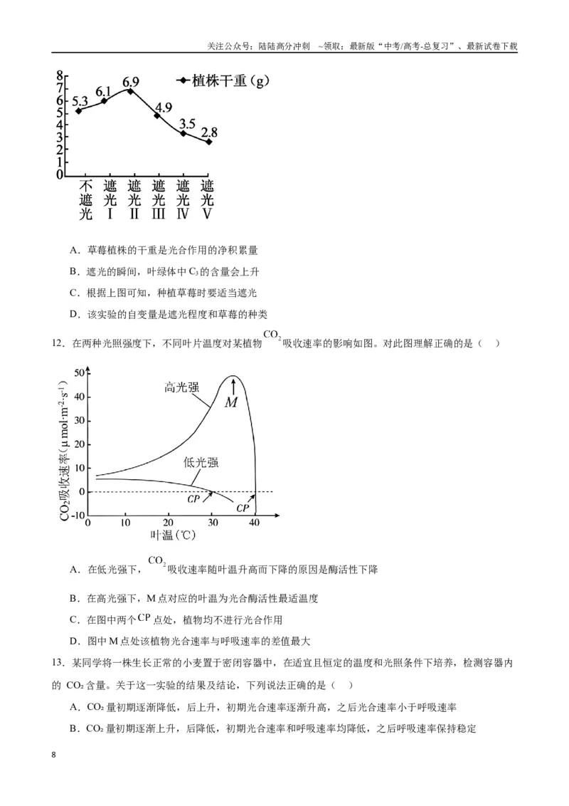 《专题10光合作用（原卷版)_06-生物-高考总复习_一轮复习_2024年_2024年高考生物一轮复习重难点专项突破_资料》第8页预览