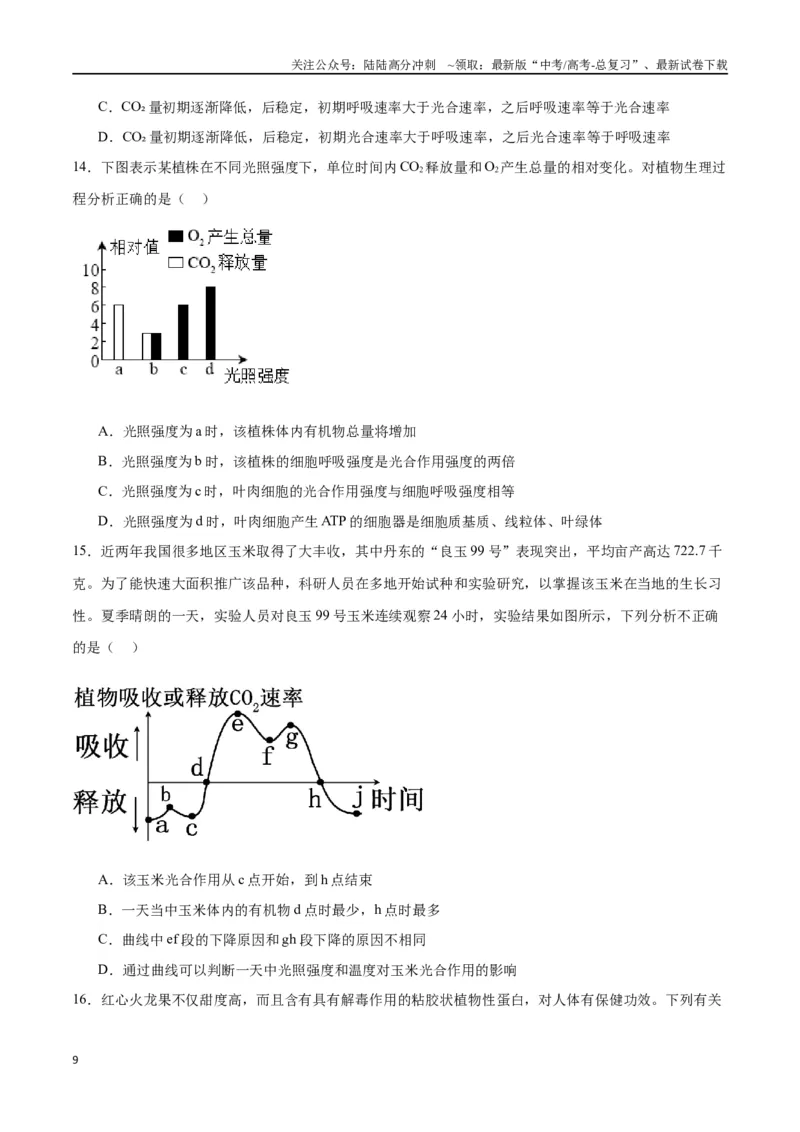 《专题10光合作用（原卷版)_06-生物-高考总复习_一轮复习_2024年_2024年高考生物一轮复习重难点专项突破_资料》第9页预览