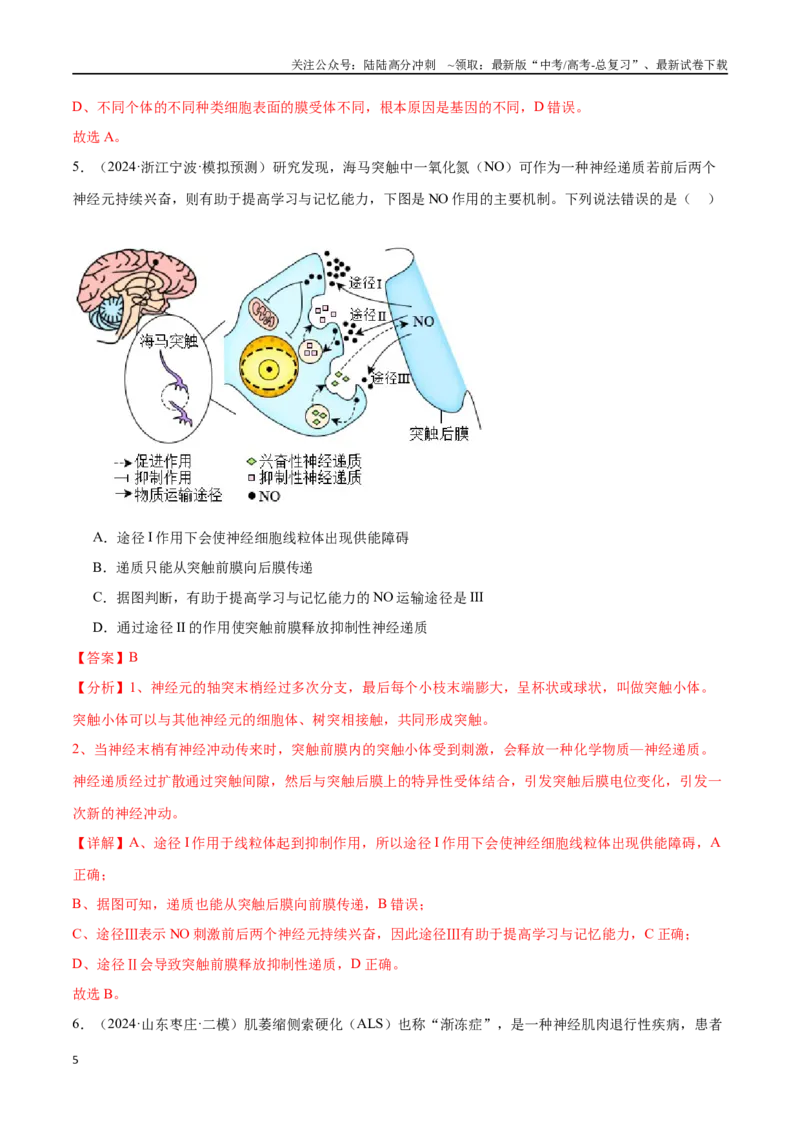 《专题09动物生命活动的调节（解析版）_06-生物-高考总复习_专项复习_2024年_2024年高考生物重难压轴题型考前终极押题_资料》第5页预览