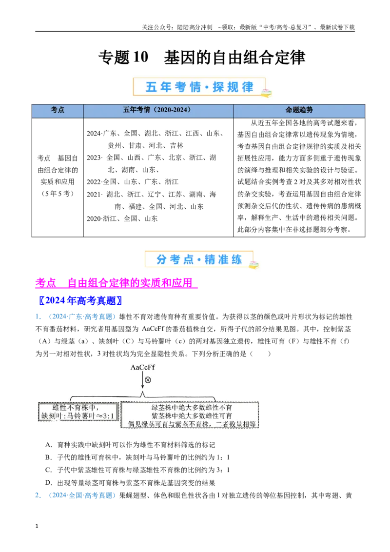 《专题10基因的自由组合定律（原卷版）_06-生物-高考总复习_专项复习_2024年_2024年高考生物真题分类汇编（全国通用）》第1页预览
