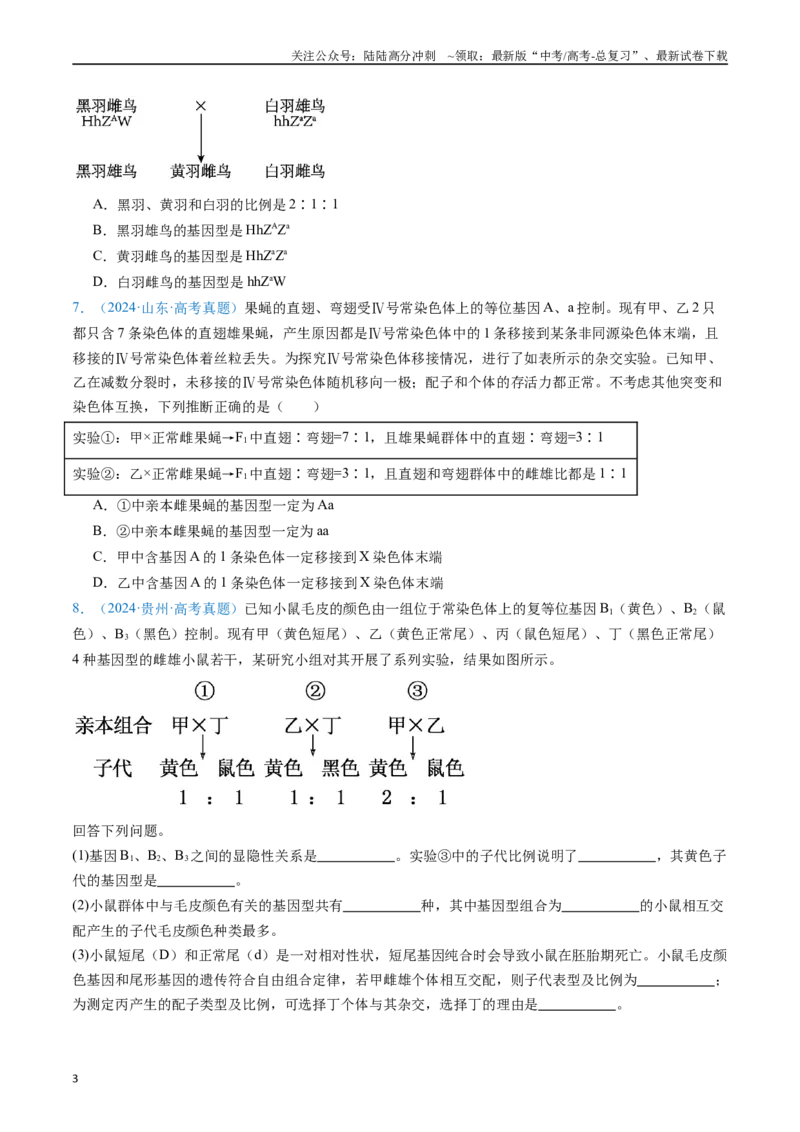 《专题10基因的自由组合定律（原卷版）_06-生物-高考总复习_专项复习_2024年_2024年高考生物真题分类汇编（全国通用）》第3页预览