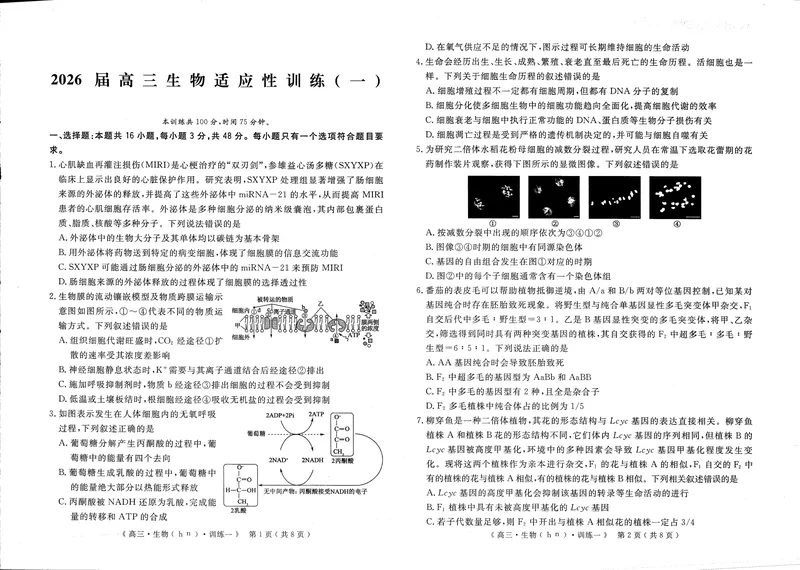 《2026届高三适应性训练（一）生物_2024-2027高三（6-6月题库）_2026年05月高三试卷_260521河南省2026届高三适应性训练（一）（黄冈八模）_生物》第1页预览