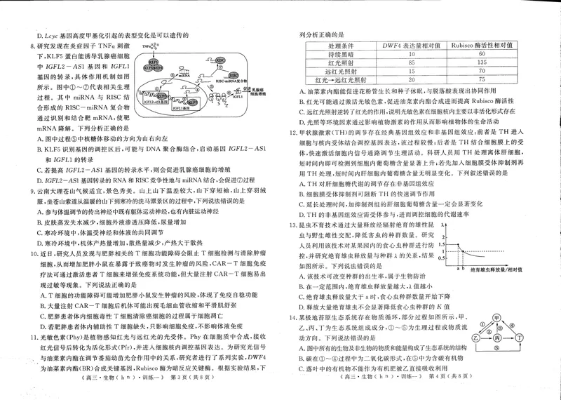 《2026届高三适应性训练（一）生物_2024-2027高三（6-6月题库）_2026年05月高三试卷_260521河南省2026届高三适应性训练（一）（黄冈八模）_生物》第2页预览