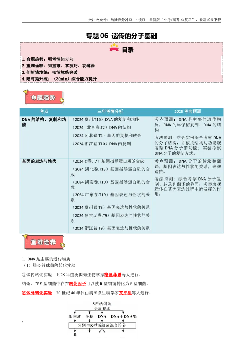《专题06遗传的分子基础（原卷版）_06-生物-高考总复习_专项复习_2025年_2025年高考生物重难点讲义专练（西北四省专用）》第1页预览
