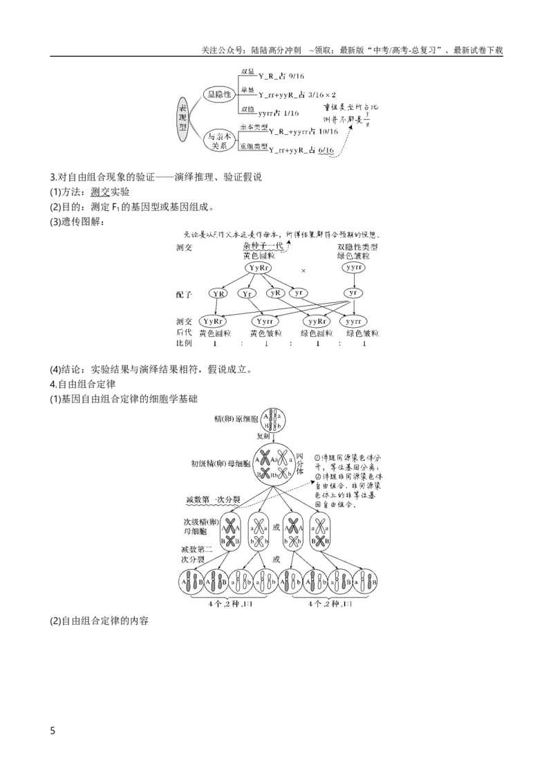 《专题07遗传的基本规律（教师版）_06-生物-高考总复习_专项复习_2024年_2024年高考生物总复习核心题型解读与全攻略新教材_资料》第5页预览