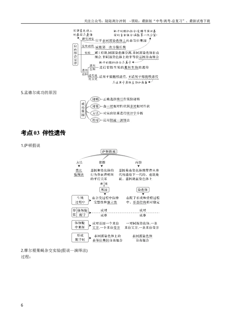 《专题07遗传的基本规律（教师版）_06-生物-高考总复习_专项复习_2024年_2024年高考生物总复习核心题型解读与全攻略新教材_资料》第6页预览