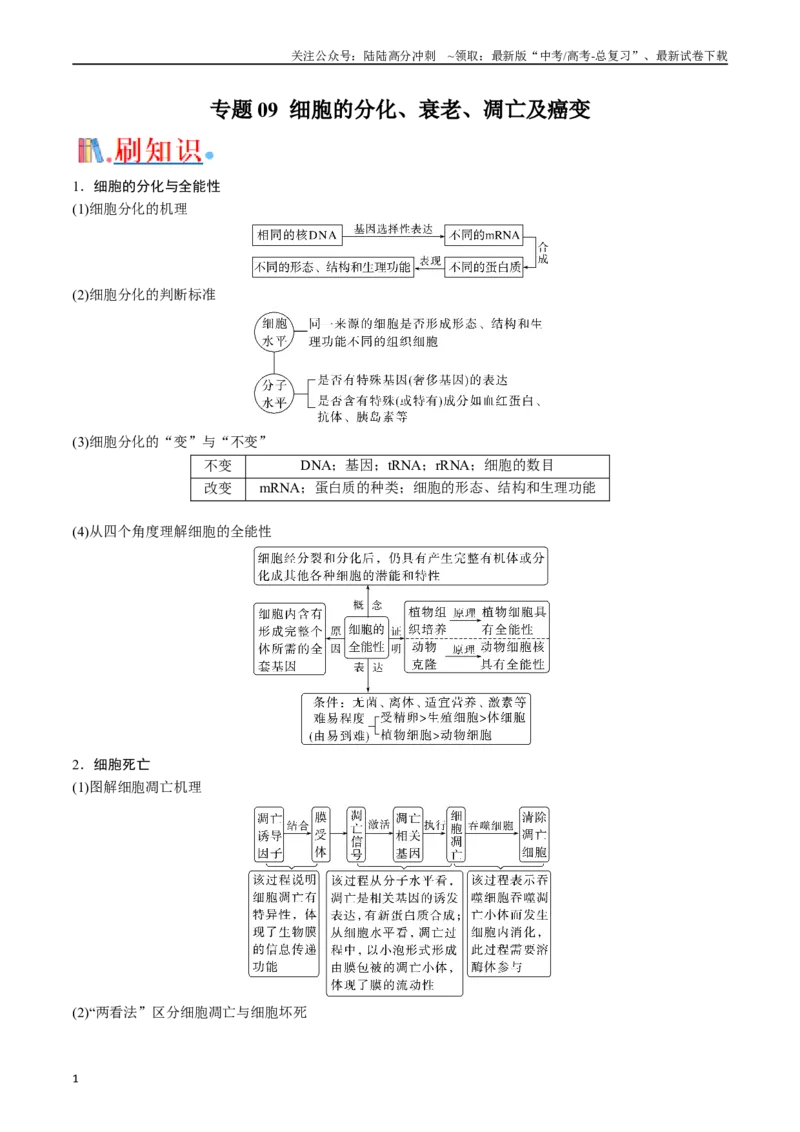 《专题09细胞的分化、衰老、凋亡及癌变（解析版）_06-生物-高考总复习_专项复习_2024年_2024年高考生物经典小题必刷_资料》第1页预览