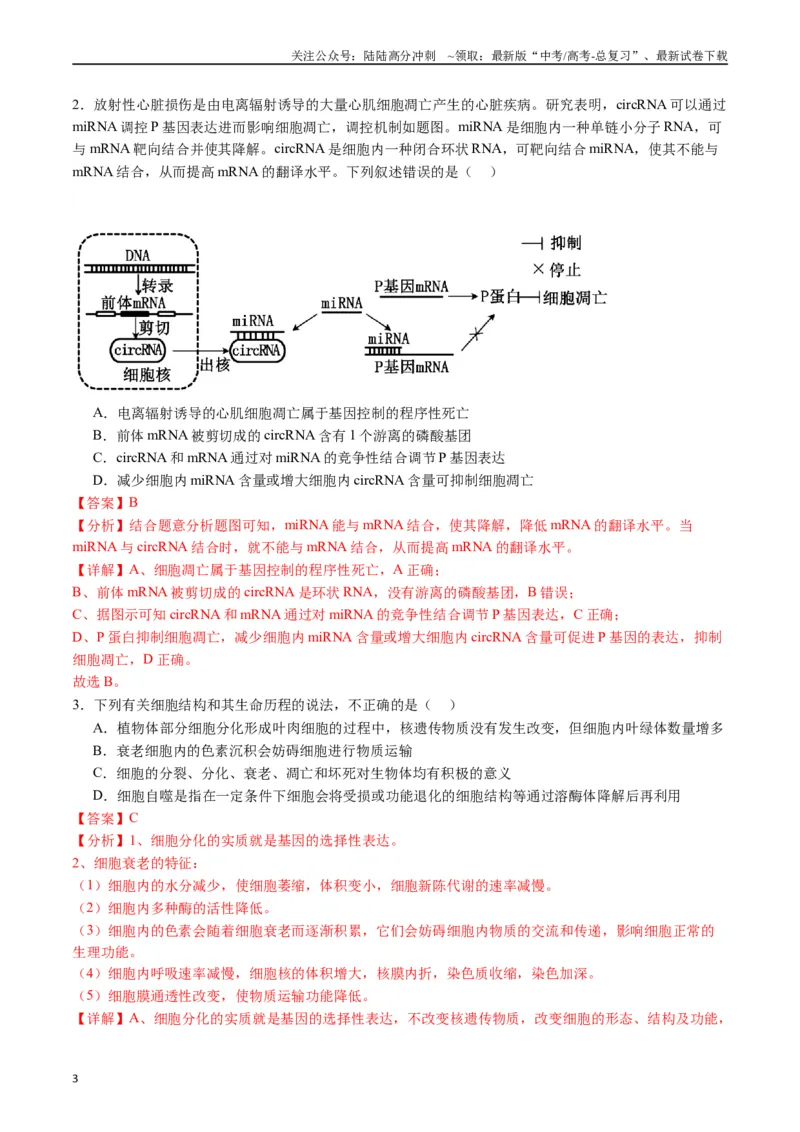 《专题09细胞的分化、衰老、凋亡及癌变（解析版）_06-生物-高考总复习_专项复习_2024年_2024年高考生物经典小题必刷_资料》第3页预览