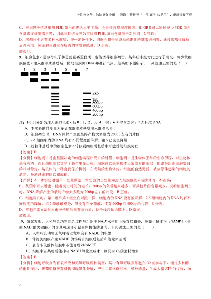《专题09细胞的分化、衰老、凋亡及癌变（解析版）_06-生物-高考总复习_专项复习_2024年_2024年高考生物经典小题必刷_资料》第7页预览