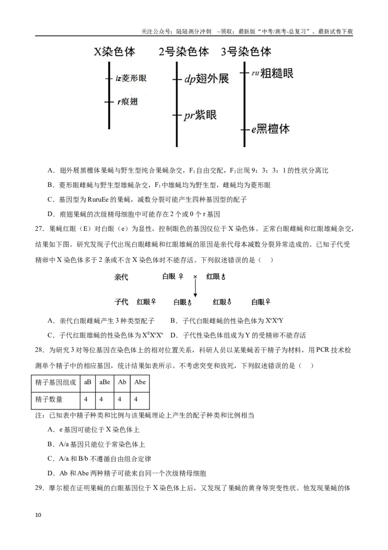 《专题06遗传的基本规律与伴性遗传（选择题60道）（原卷版）_06-生物-高考总复习_二轮复习_2024年_2024年高考生物二轮复习选择题大题压轴专项训练_资料》第10页预览