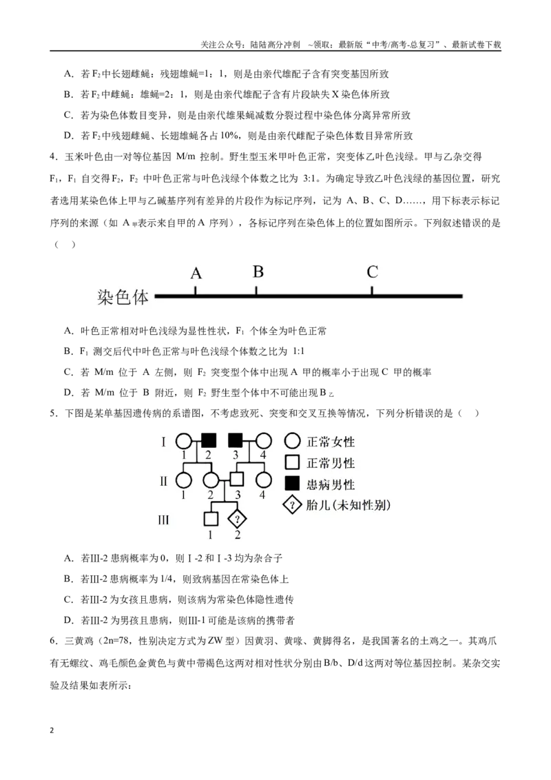 《专题06遗传的基本规律与伴性遗传（选择题60道）（原卷版）_06-生物-高考总复习_二轮复习_2024年_2024年高考生物二轮复习选择题大题压轴专项训练_资料》第2页预览
