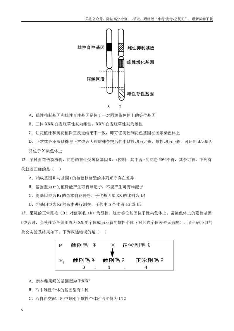 《专题06遗传的基本规律与伴性遗传（选择题60道）（原卷版）_06-生物-高考总复习_二轮复习_2024年_2024年高考生物二轮复习选择题大题压轴专项训练_资料》第5页预览