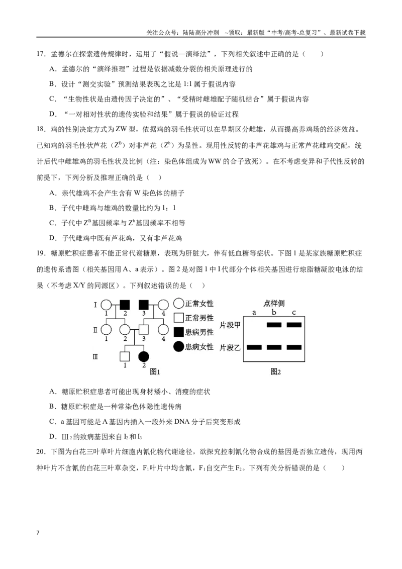 《专题06遗传的基本规律与伴性遗传（选择题60道）（原卷版）_06-生物-高考总复习_二轮复习_2024年_2024年高考生物二轮复习选择题大题压轴专项训练_资料》第7页预览