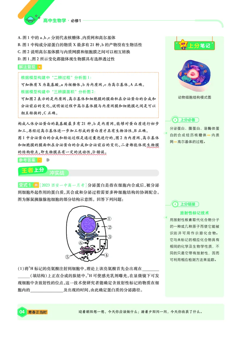 《上分手册-生物必修1RJ（单选题）-金考卷单元双测卷_2024天星高中单元双测卷上分手册》第4页预览