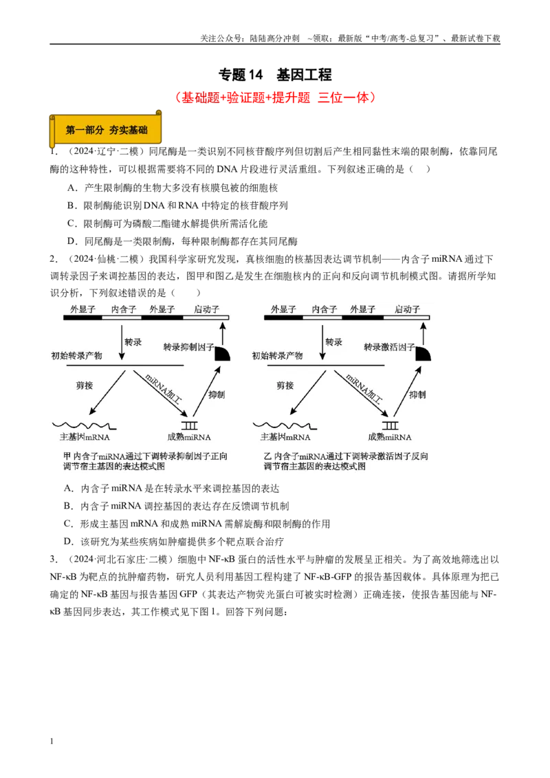 《专题14基因工程（原卷版）_06-生物-高考总复习_专项复习_2025年_2024年高考二模试题分类汇编生物新高考通用》第1页预览
