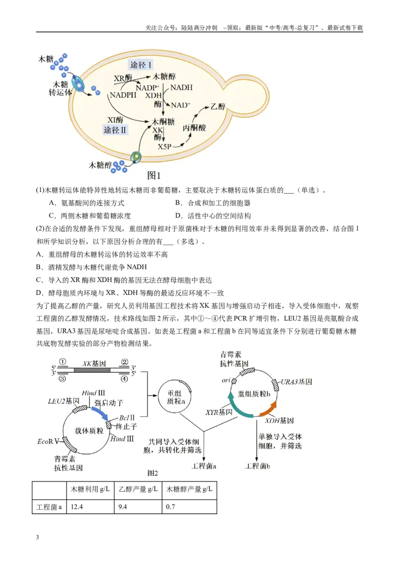 《专题14基因工程（原卷版）_06-生物-高考总复习_专项复习_2025年_2024年高考二模试题分类汇编生物新高考通用》第3页预览
